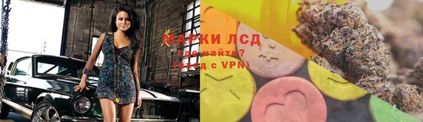 стаф Медвежьегорск