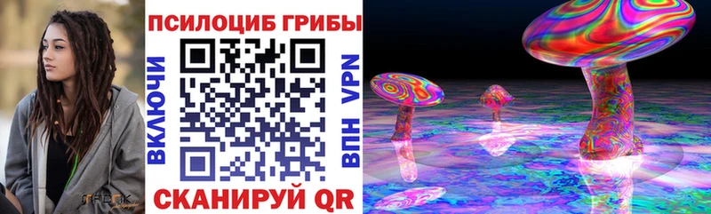 Купить где  Сунжа  Галлюциногенные грибы ЛСД 