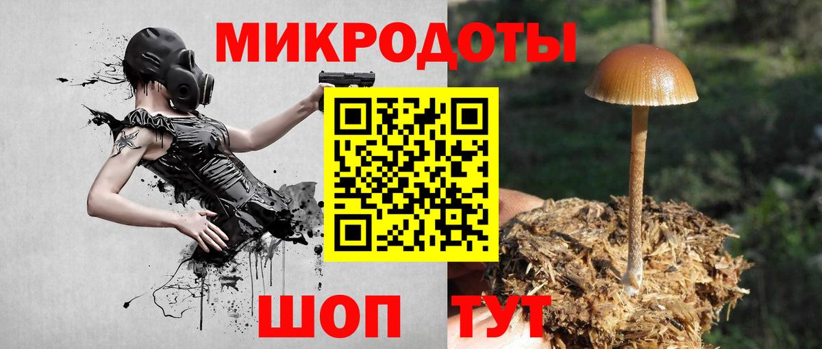 Галлюциногенные грибы MAGIC MUSHROOMS Сунжа