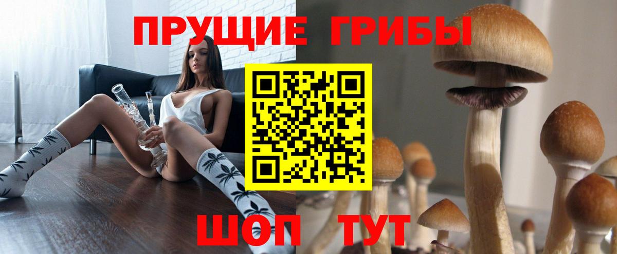 Псилоцибиновые грибы Magic Shrooms  закладка  Сунжа 
