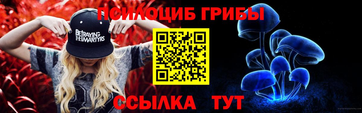 Сунжа  Псилоцибиновые грибы Psilocybine cubensis  Вход с VPN 