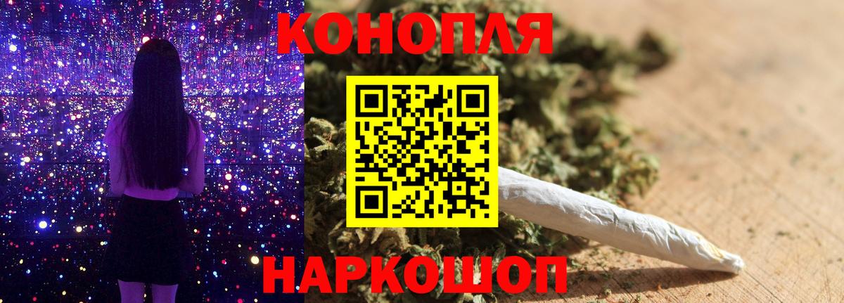 Бошки Шишки AK-47  Вход с VPN  Сунжа  Шишки марихуана MAZAR  Каннабис VHQ 